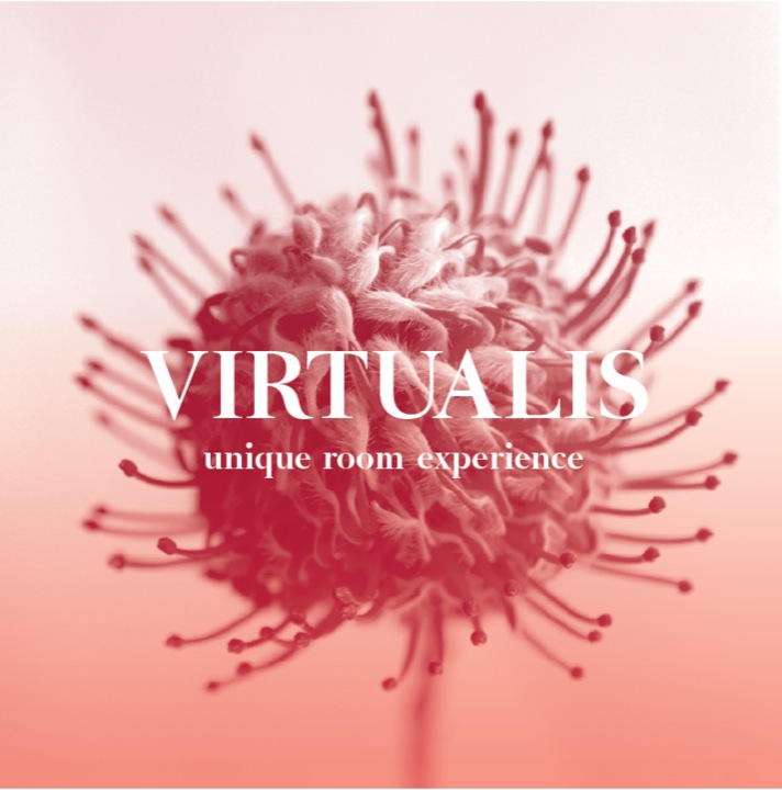 Virtualis