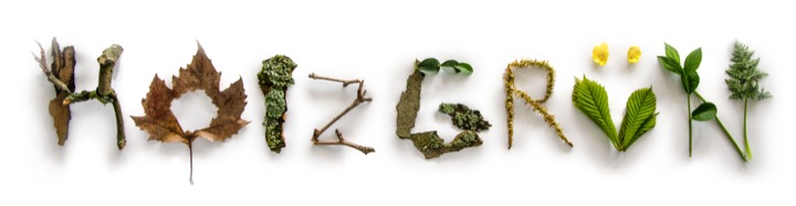 holzgrün